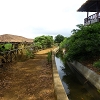 Plants: image 6 Of 117 Thumb